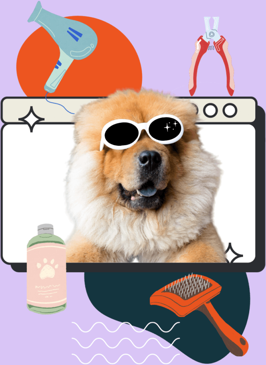 Dog Grooming App